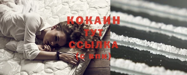 крисы Дмитров