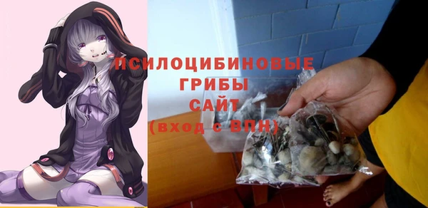 сатива Дмитровск