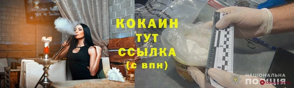 крисы Дмитров