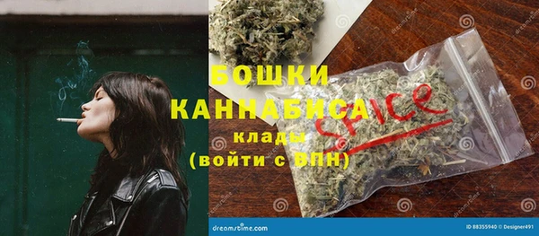 сатива Дмитровск