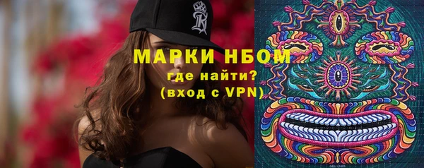 крисы Дмитров