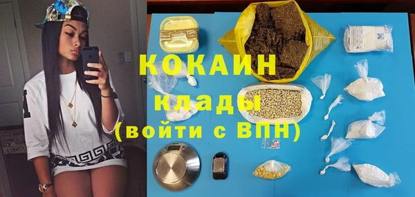 крисы Дмитров