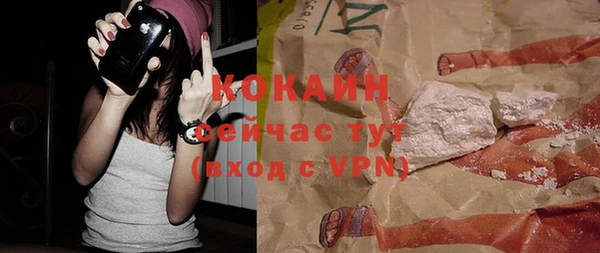 крисы Дмитров