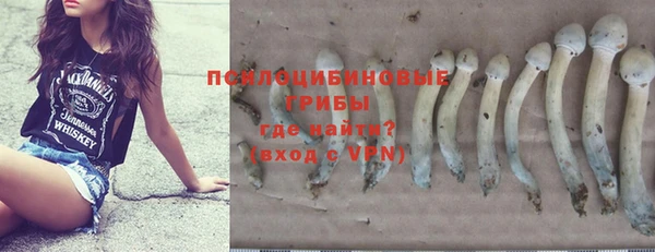 кристаллы Дмитриев