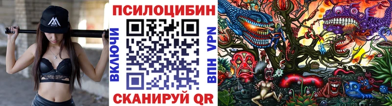 Купить закладки  Новая Ладога  Псилоцибиновые грибы ЛСД 