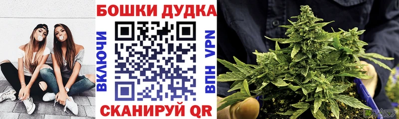 Шишки марихуана SATIVA & INDICA  Купить где  Новая Ладога 